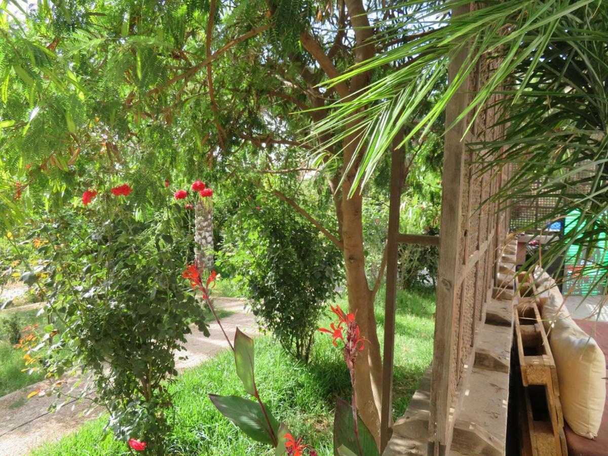 Ibis Tlemcen Hotell Exteriör bild